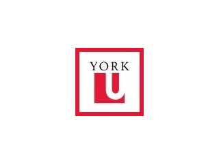 York University