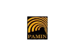 PAMIN - Passagem Mineração S/A