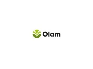 Olam