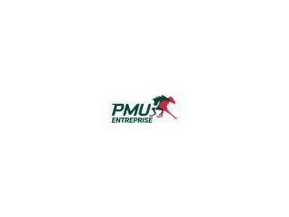 PMU