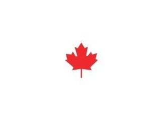 Canadian Executive Search Group (USA) Inc / Division Of Arrow Group Of Companies