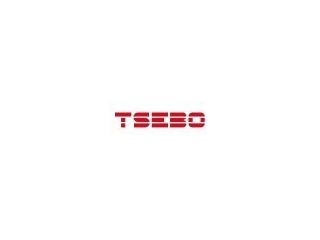 Tsebo Solutions Group