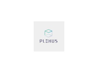 Logo Plexus Resource Solutions