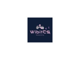 Wibitcs