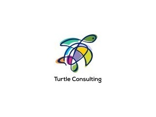 Turtle Consulting Limited