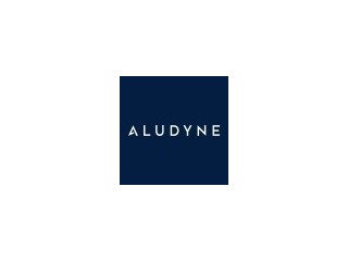 Aludyne