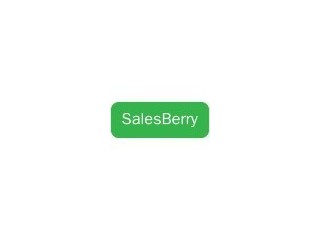 SalesBerry