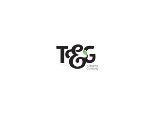 T&G Global Limited