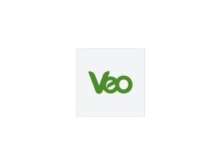 VEO Worldwide Services