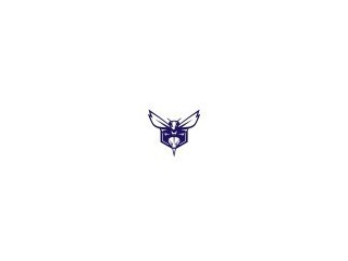 Charlotte Hornets