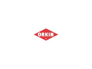 Logo Orkin