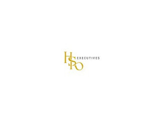 Logo HSO Executives Inc.
