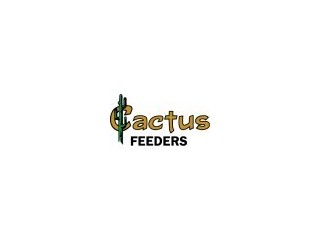 Cactus Feeders