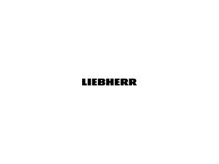 Liebherr Group